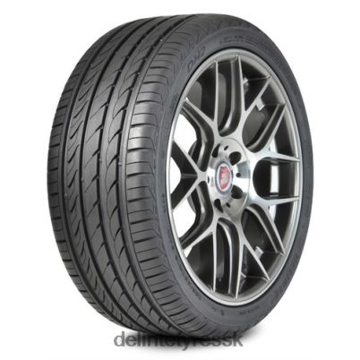 Delinte dh2 245/45r18xl 100w bw 6Z6Z0470 pneumatiky